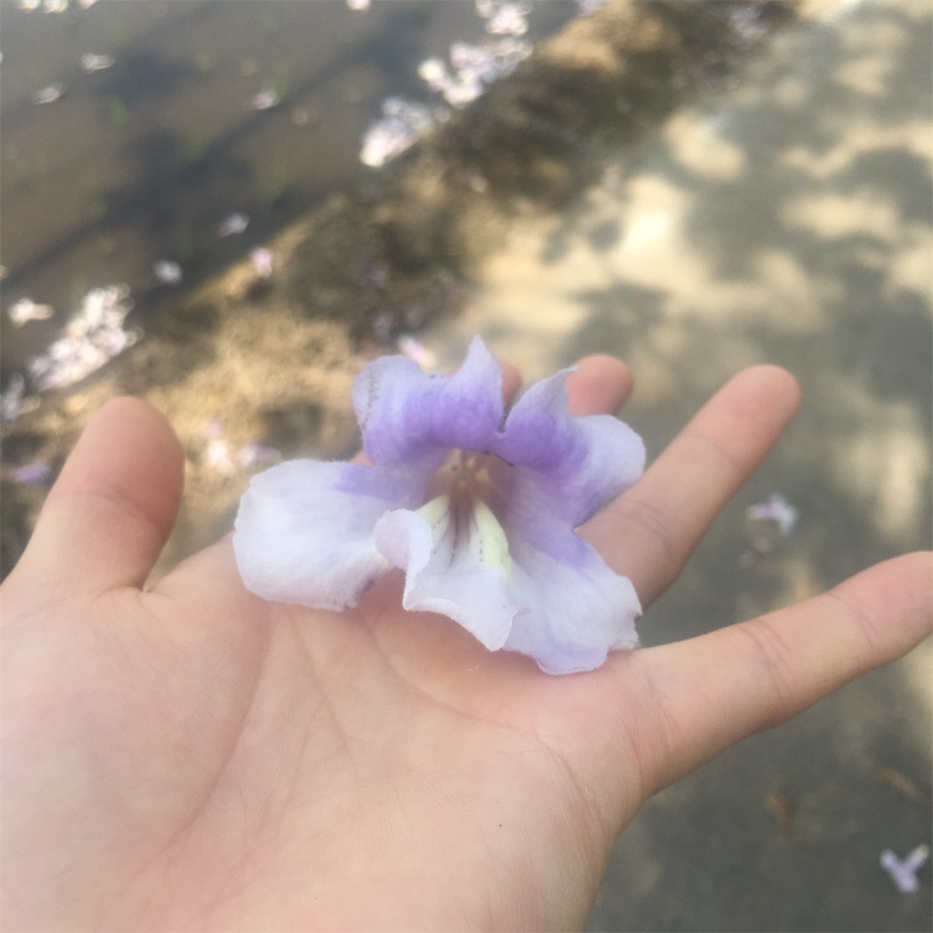 f:id:luckynosuke7o:20210205025224j:image f:id:luckynosuke7o:20210205025224j:image