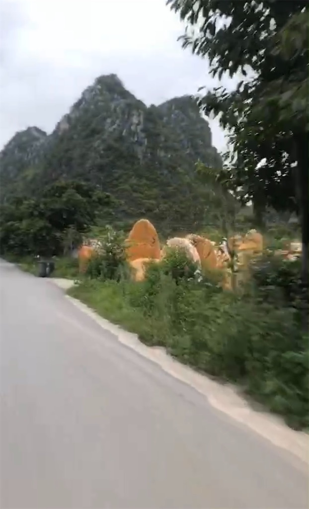 f:id:luckypanda2024:20241202002235j:image