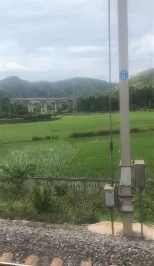 f:id:luckypanda2024:20241202002240j:image
