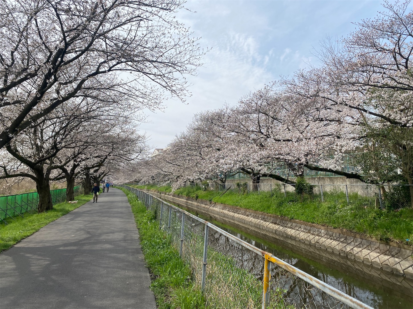 f:id:luckypanda2024:20250330104921j:image
