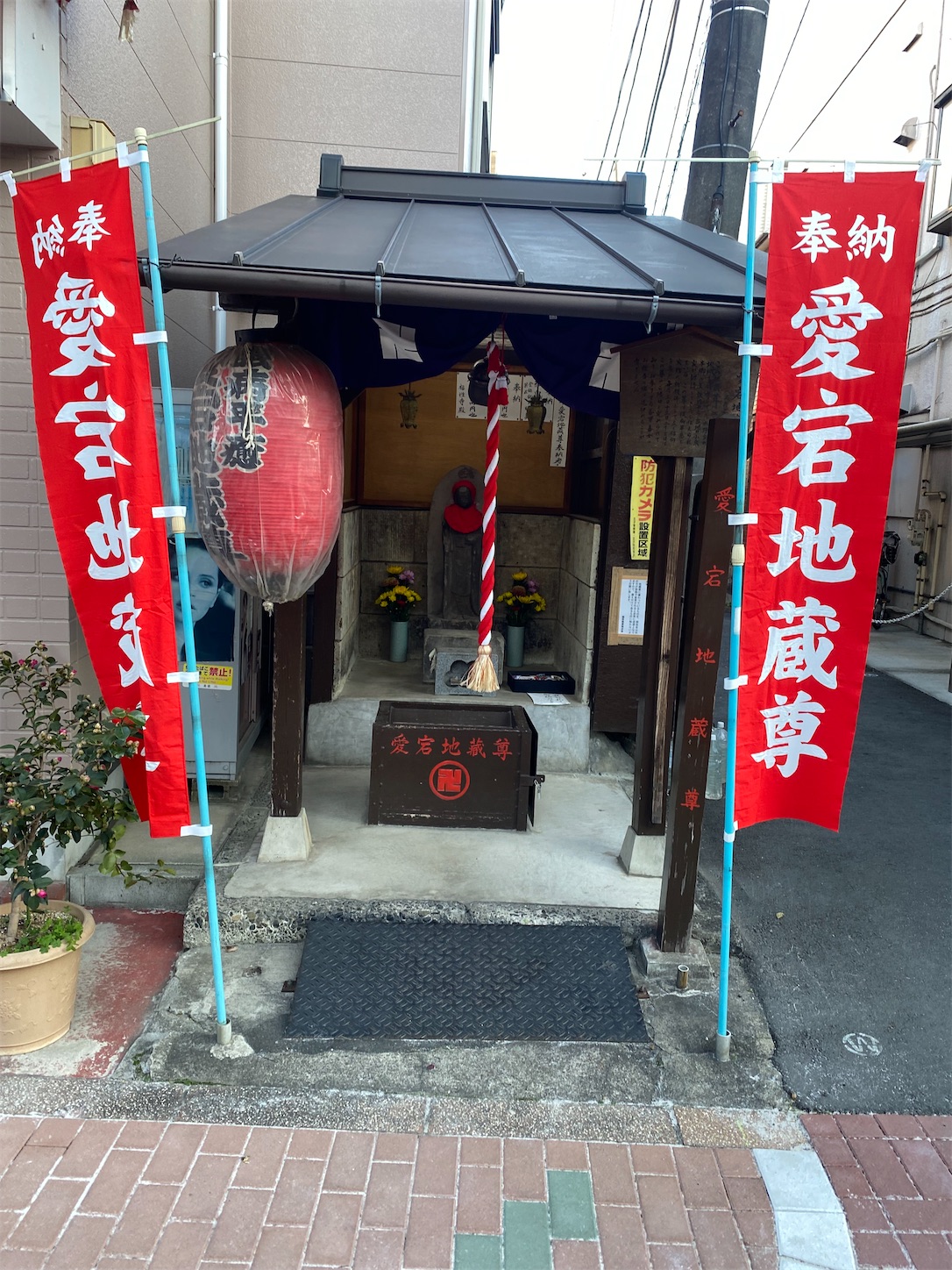 f:id:luckypanda2024:20260204124528j:image