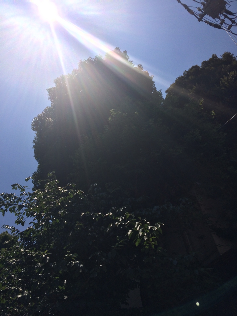 f:id:luckyspot:20160712082814j:plain f:id:luckyspot:20160712082814j:plain