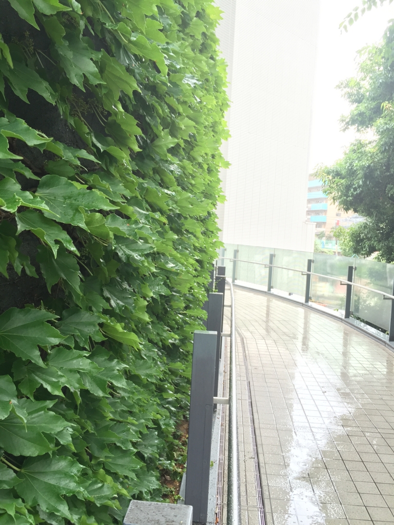 f:id:luckyspot:20160717075356j:plain f:id:luckyspot:20160717075356j:plain