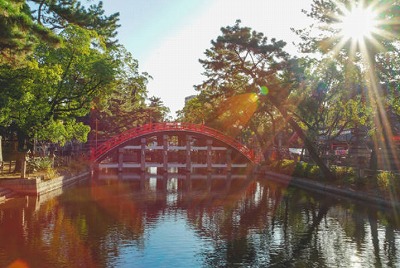 f:id:luckyworker:20210416101057j:plain