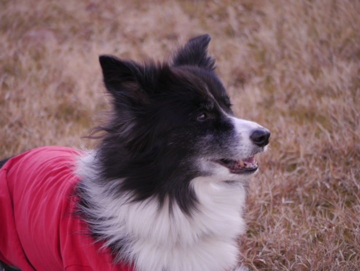 f:id:lucy0414:20131214120406j:image:w150