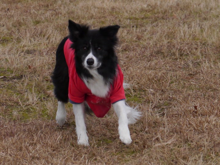 f:id:lucy0414:20131214131119j:image:w150