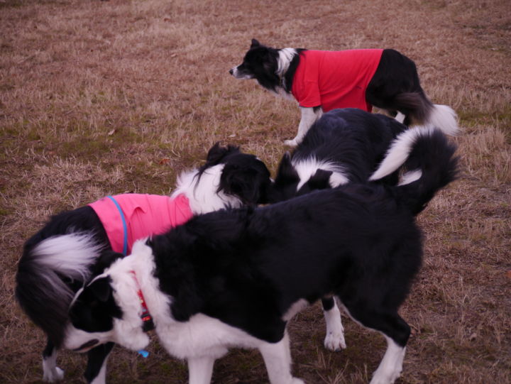 f:id:lucy0414:20131214131141j:image:w150