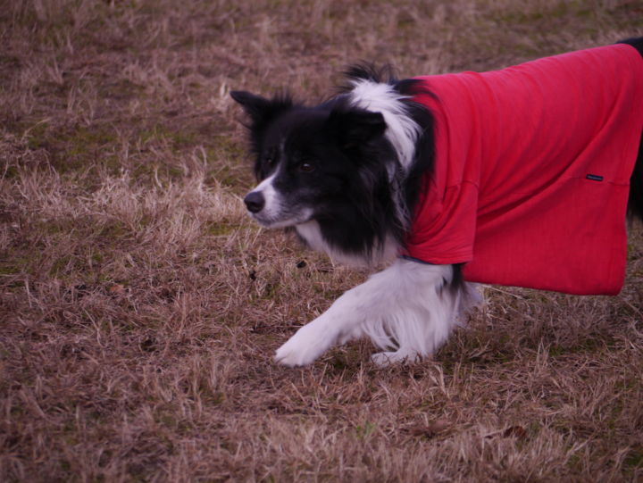 f:id:lucy0414:20131214131207j:image:w150