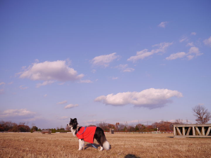 f:id:lucy0414:20131214152338j:image:w150