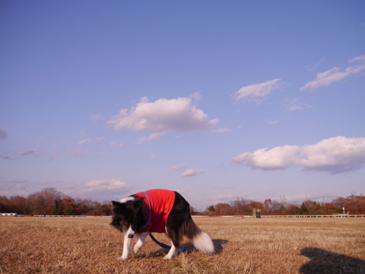 f:id:lucy0414:20131214152355j:image:w150