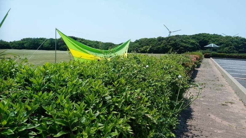 イメージ 7