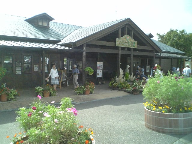 イメージ 6