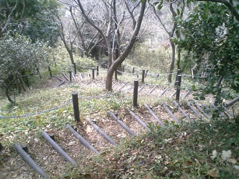 イメージ 3