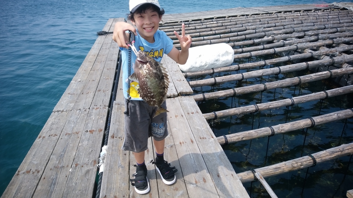 f:id:luftkuhlung:20190806160038j:plain f:id:luftkuhlung:20190806160038j:plain