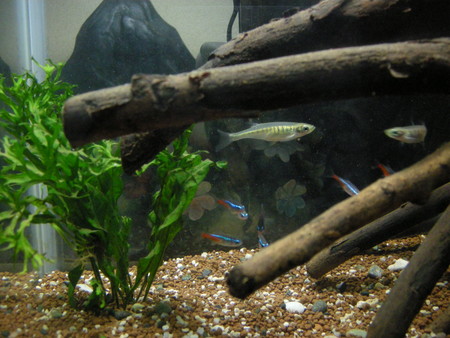 f:id:lughingman:20080305002629j:image