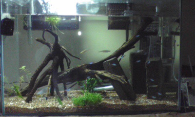 f:id:lughingman:20080328174443j:image