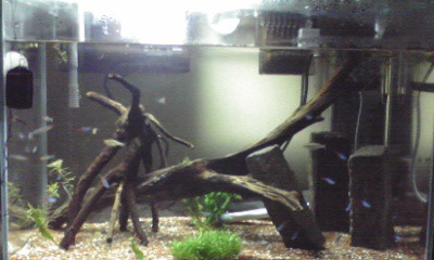 f:id:lughingman:20080328191750j:image