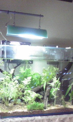 f:id:lughingman:20080331172434j:image