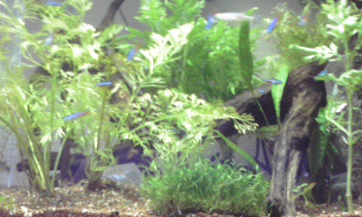 f:id:lughingman:20080331172455j:image