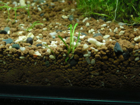 f:id:lughingman:20080406060605j:image