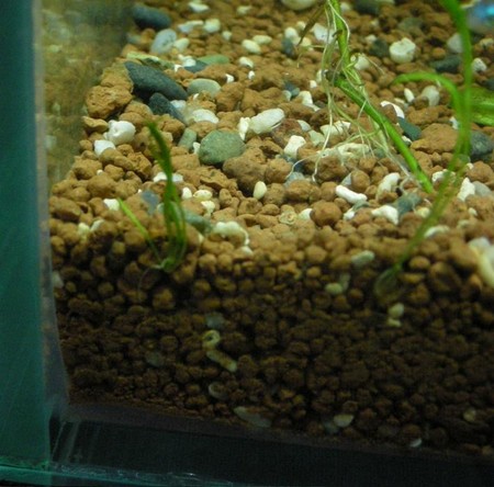 f:id:lughingman:20080406060634j:image