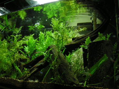 f:id:lughingman:20080412042933j:image