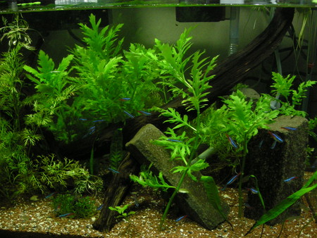 f:id:lughingman:20080418211306j:image