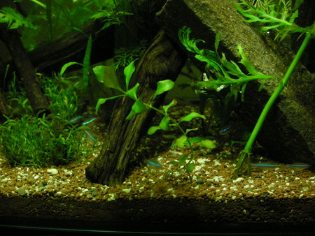 f:id:lughingman:20080516000918j:image