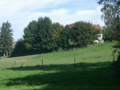 Grünlandschaft