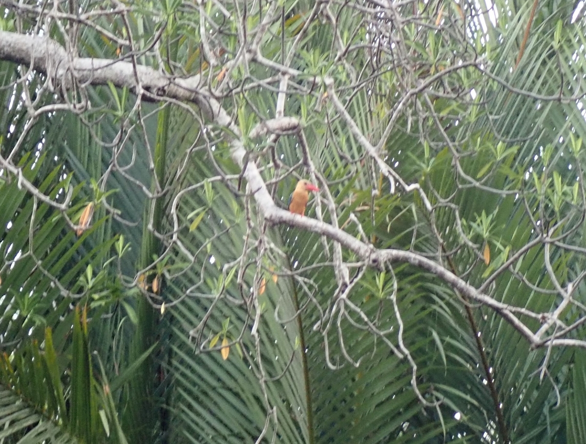 f:id:lukaroma:20190719103152j:plain f:id:lukaroma:20190719103152j:plain