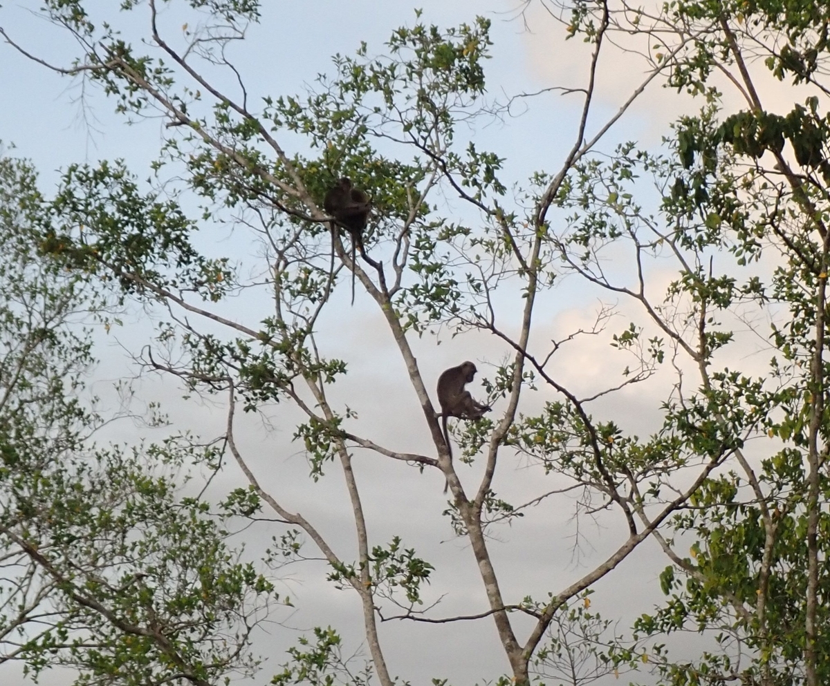 f:id:lukaroma:20190719103612j:plain f:id:lukaroma:20190719103612j:plain