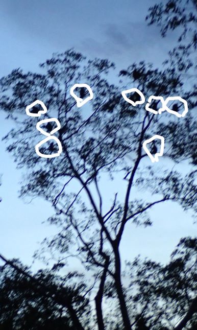 f:id:lukaroma:20190719104639j:plain f:id:lukaroma:20190719104639j:plain