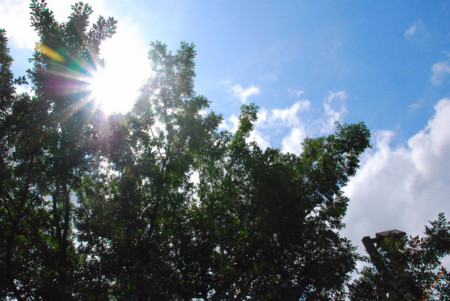 f:id:lukenohaha:20090905234643j:image