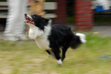f:id:lukenohaha:20090909131144j:image