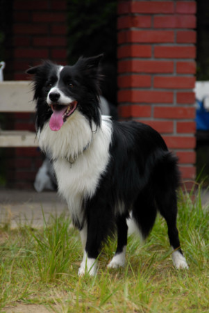 f:id:lukenohaha:20090909131358j:image