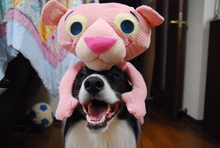 f:id:lukenohaha:20091003142734j:image:w200