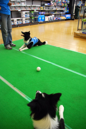 f:id:lukenohaha:20091003143243j:image