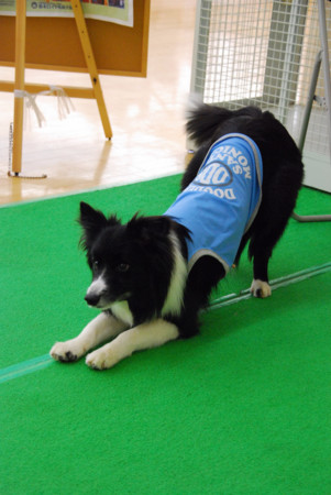 f:id:lukenohaha:20091003143429j:image:h300