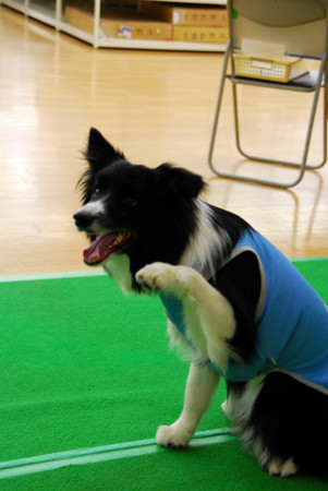 f:id:lukenohaha:20091003143456j:image:h300