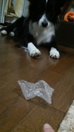 f:id:lukenohaha:20091110193342j:image