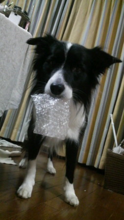 f:id:lukenohaha:20091110195157j:image