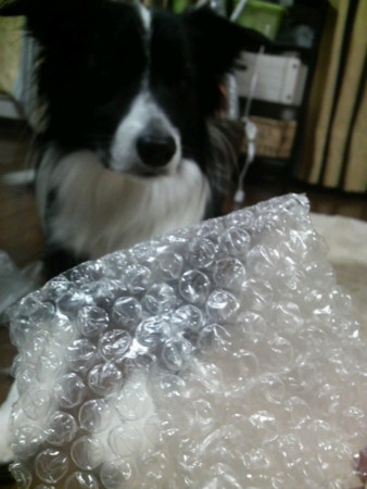 f:id:lukenohaha:20091110195200j:image