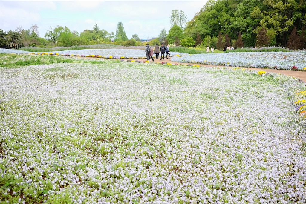 f:id:lulilala:20190501230914j:image f:id:lulilala:20190501230914j:image