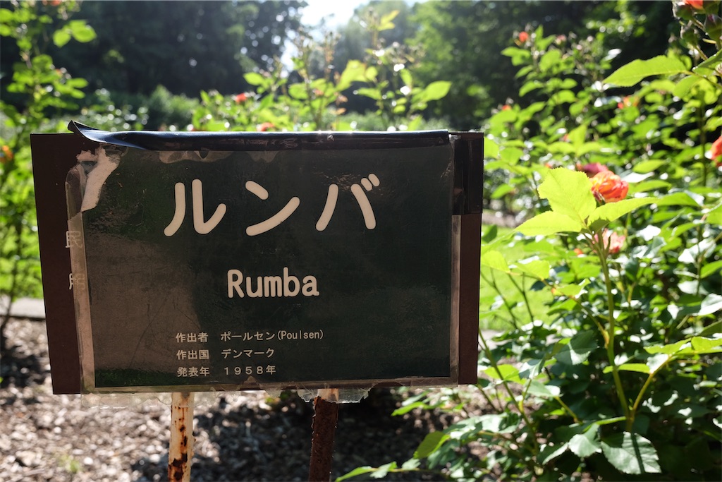 f:id:lulilala:20190613225751j:image f:id:lulilala:20190613225751j:image