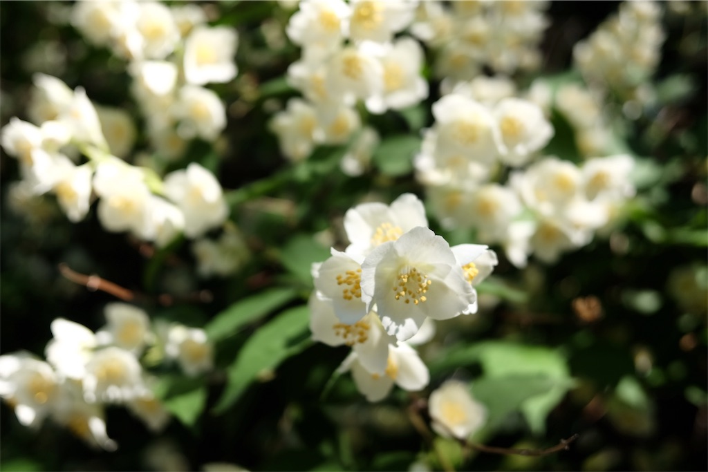 f:id:lulilala:20190613225757j:image f:id:lulilala:20190613225757j:image