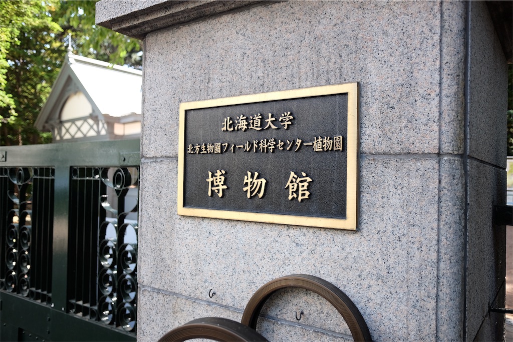 f:id:lulilala:20190613225811j:image f:id:lulilala:20190613225811j:image