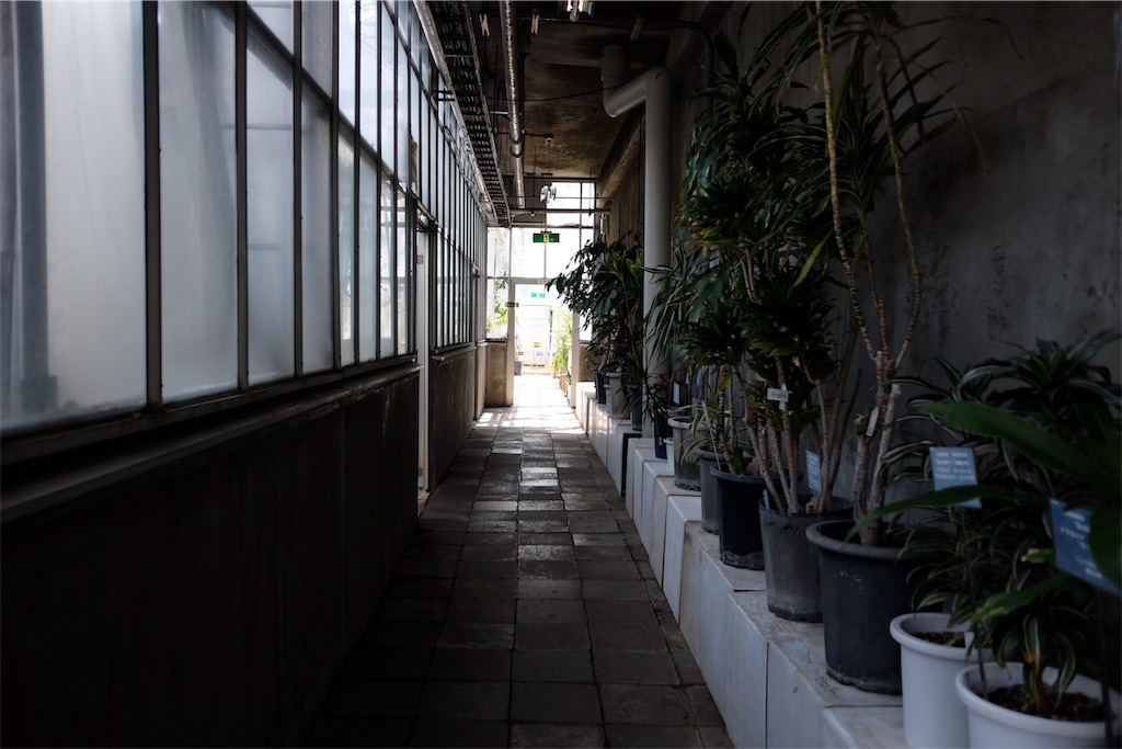 f:id:lulilala:20190613225831j:image f:id:lulilala:20190613225831j:image