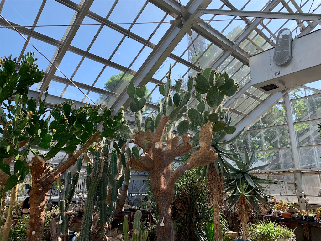 f:id:lulilala:20190613230703j:image f:id:lulilala:20190613230703j:image