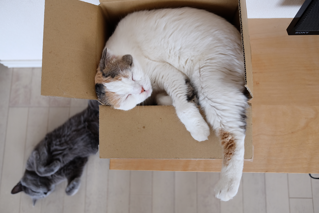 f:id:lulilala:20220608202346p:image f:id:lulilala:20220608202346p:image