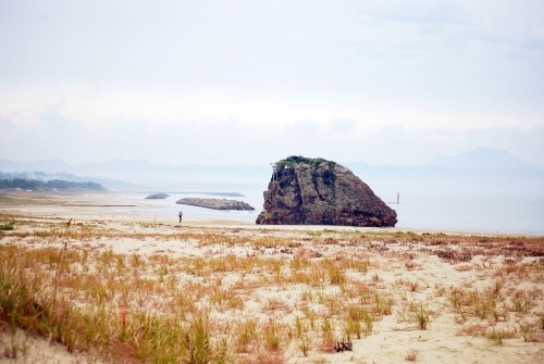 f:id:lulilala:20220609030348j:image f:id:lulilala:20220609030348j:image